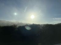 Nebel auf der Fahrt nach Auckland