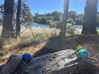 Ostereier am Cooks Beach