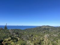 Whenuakite Kiwi Zone Aussichtspunkt