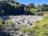 Blubbernder Schlamm in Te Puia