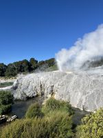 Geysir in Te Puia