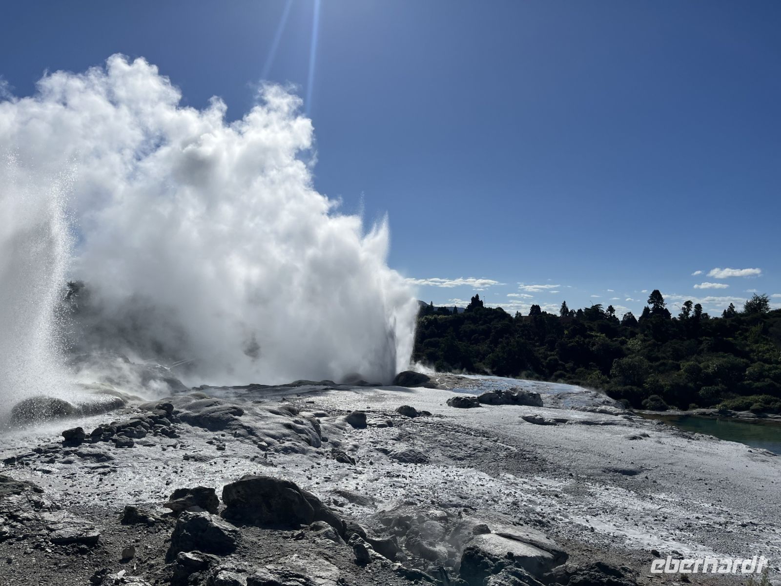 Geysir in Te Puia