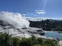 Geysir in Te Puia