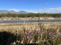 Tongariro Nationalpark
