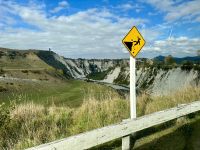 Kreideklippen bei Mangaweka