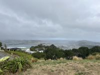 Blick auf das vernebelte Wellington 