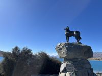Hundestatue am Lake Tekapo