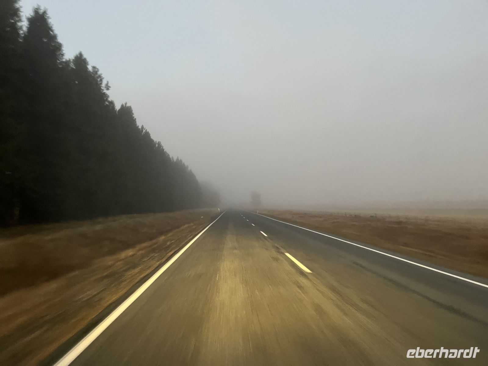 Morgendliche Fahrt durch den Nebel