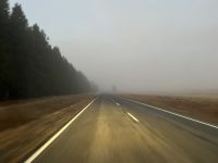 Morgendliche Fahrt durch den Nebel