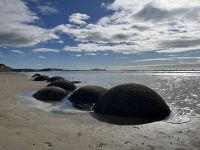 Moeraki Boulders