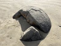 Moeraki Boulders