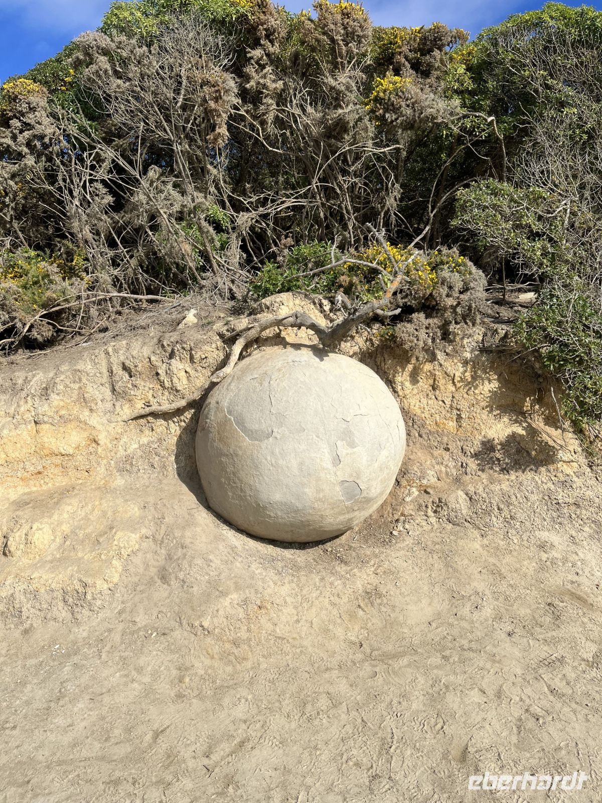 Moeraki Boulders
