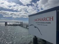 Pier von Monarch Wildlife Cruises