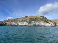 Felswand in der Otago Bay