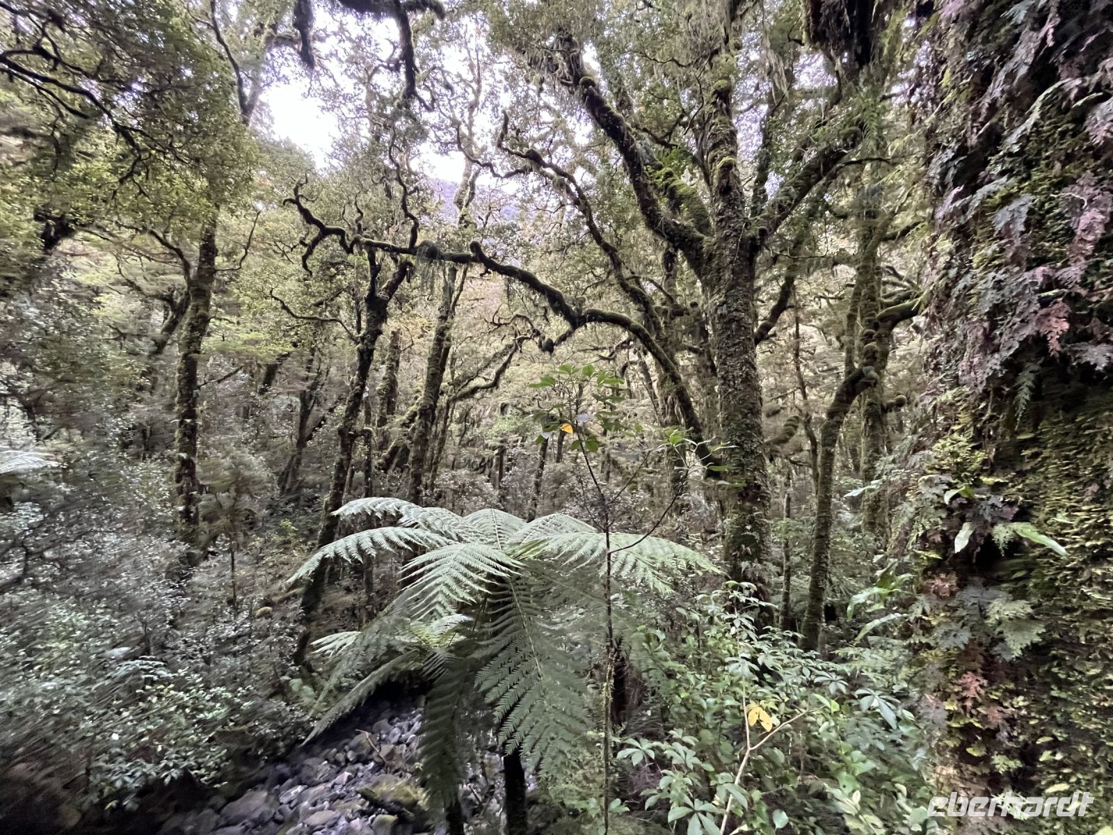 Spaziergang zu den Chasm-Falls