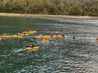 Kayakfahren im Milford Sound