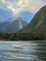 Kayakfahren im Milford Sound