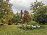 Botanischer Garten in Queenstown