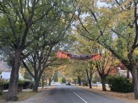 Banner für Herbstfest in Arrowtown