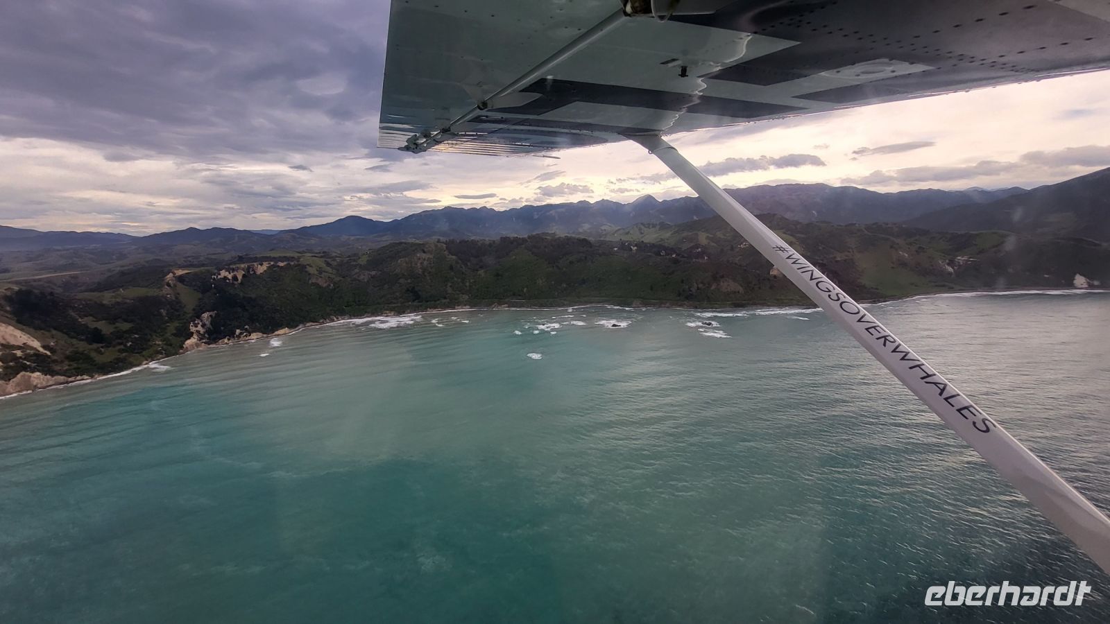 223 - Kaikoura