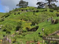 Bei Matamata, am Hobbiton Movie Set