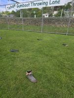 Taihape, Gummistiefel Weitwurf