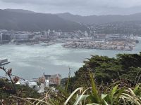 Blick vom Mount Victoria