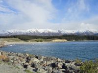 Pukaki am Lake Tekapo