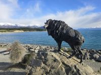 Pukaki am Lake Tekapo