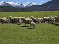Auf dem Weg in Fjord Land