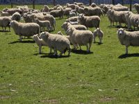 Auf dem Weg in Fjord Land