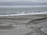 Küste am Ship Creek