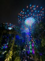 Lightshow an den Supertees