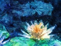 Die berühmten Seerosen von Claude Monet, Flower Dome Singapur