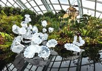 Stilisierte Seerosen im Cloud Forest in Singapur