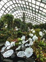 Eines der Gewächshäuser in Singapur