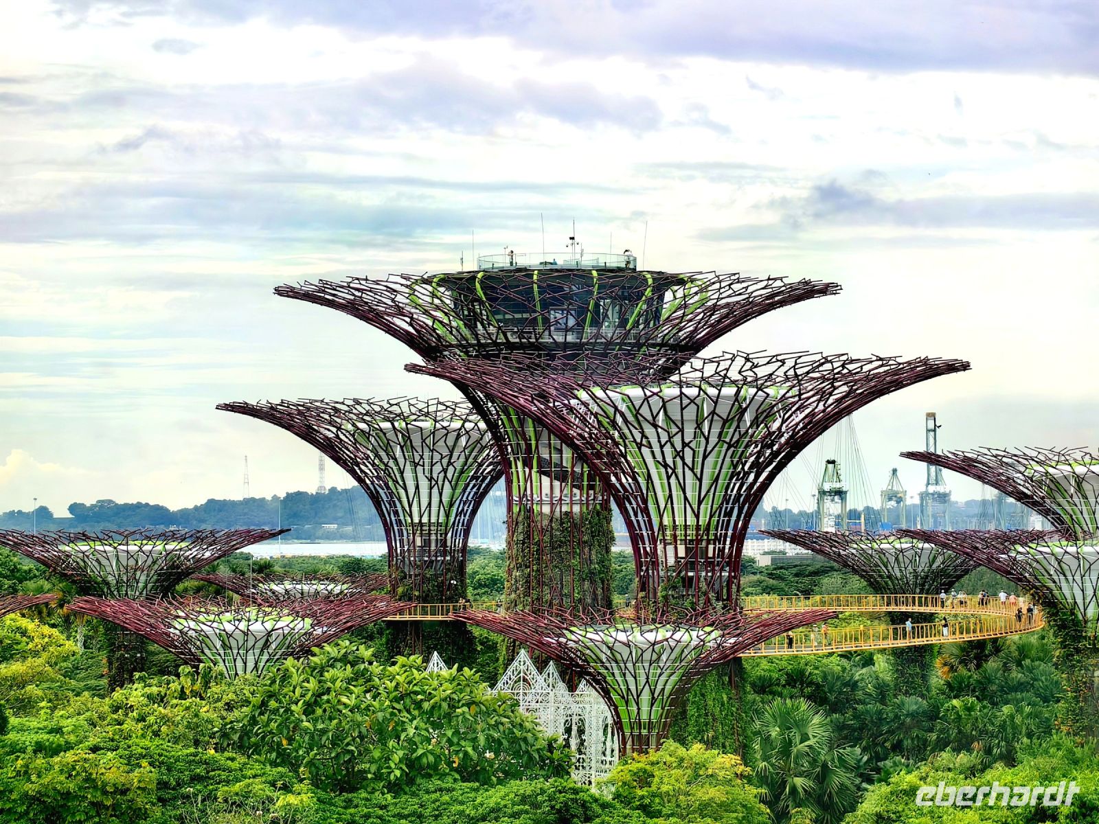 Die Supertrees in Singapur