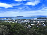 Blick über Auckland