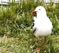 Nachkontrolle, ob nicht doch noch was übrig ist