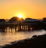 Urlaubsstimmung pur in Paihia