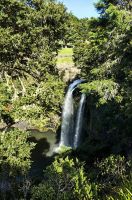 Otuihau Whangarei Wasserfall