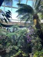 Im Botanischen Garten Singapur´s