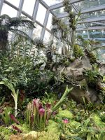 Im Botanischen Garten Singapur´s