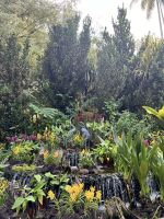 Im Botanischen Garten Singapur´s