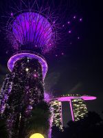 Gardens by the Bay und Marina Bay Sands Hotel
