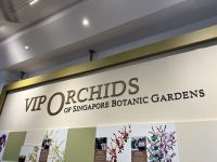 Im Botanischen Garten Singapur´s