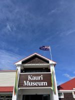 Kauri Museum