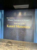 Kauri Museum