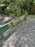 Weg zum 2. größten Kauri