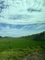 Landschaft Neuseelands